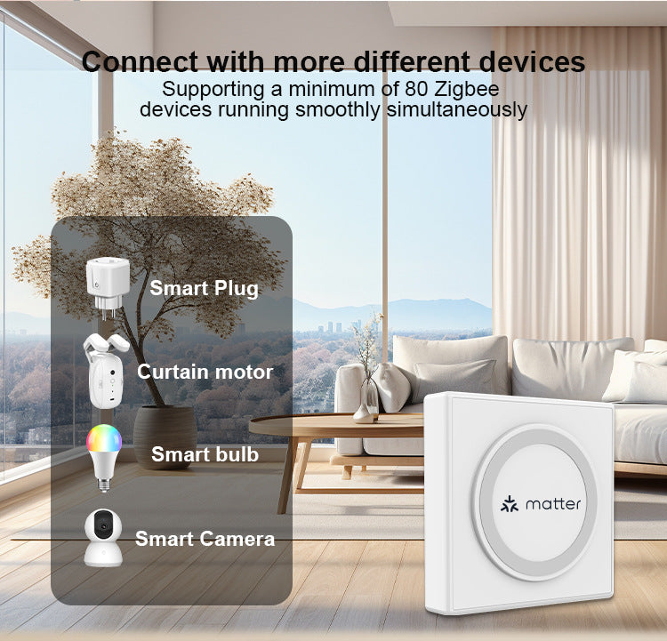 Matter Smart Home Hub – Wired Multi-Mode Gateway for Zigbee & IoT