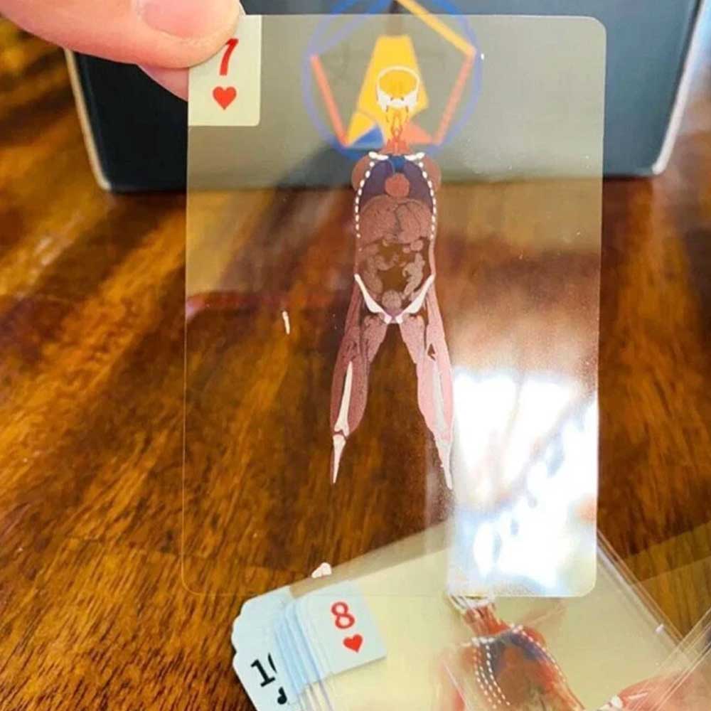 The Body Deck Human Anatomy - It's What's Inside That Counts Cards, 3D Image