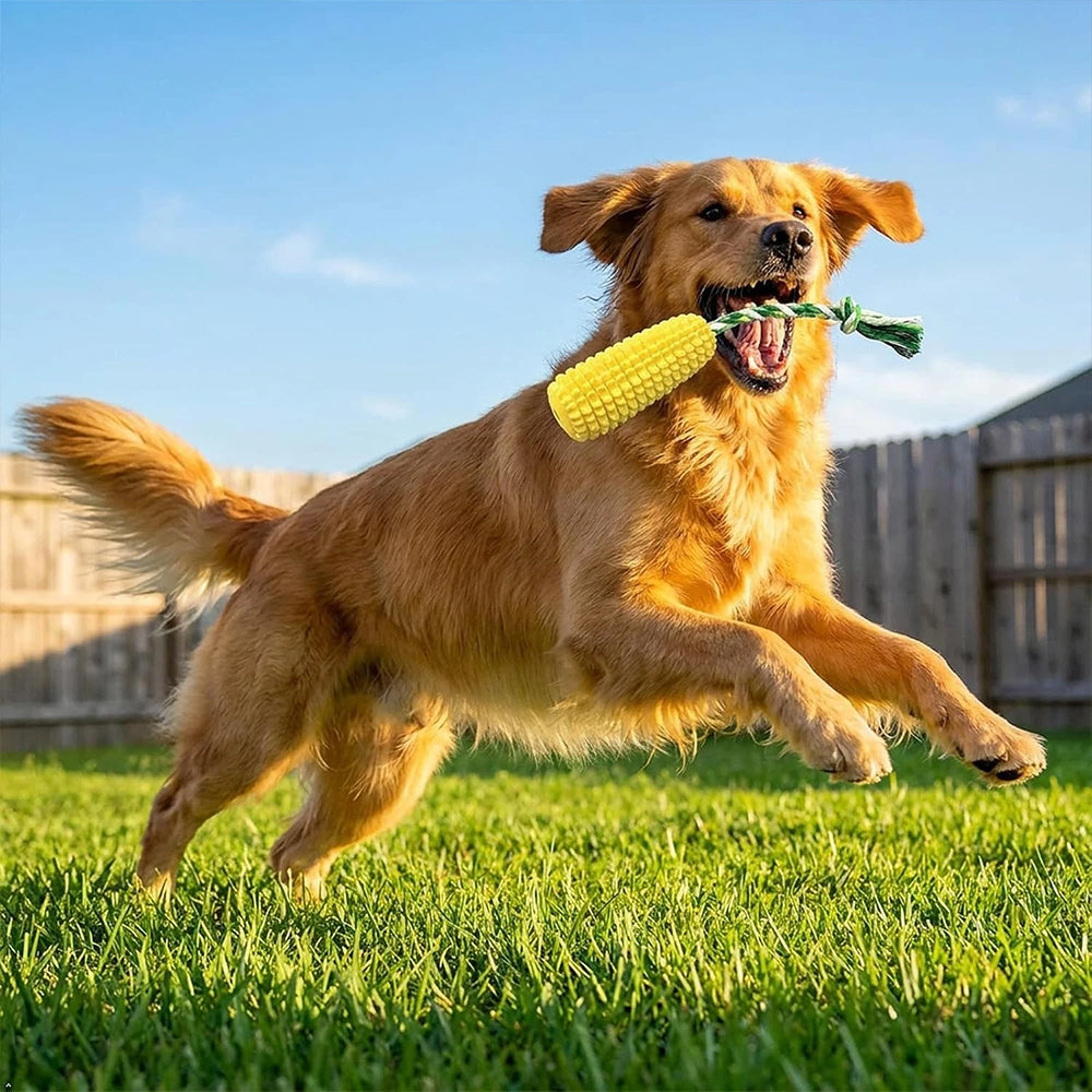 Indestructible Dog Chew Toy – Tough TPR Squeaky Toy for Aggressive Chewers