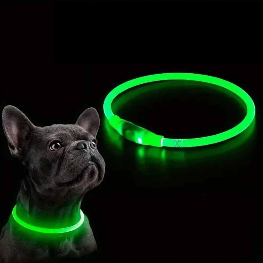 Light Up Dog Collar – USB Rechargeable Pet Flashing Safety LED, Size Adjustable