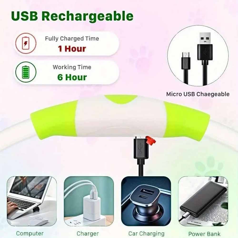 Light Up Dog Collar – USB Rechargeable Pet Flashing Safety LED, Size Adjustable