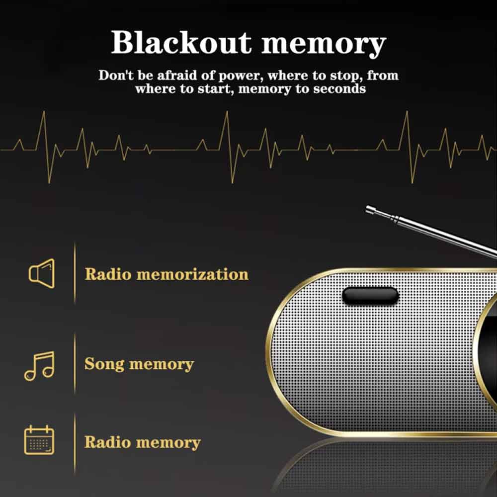 Portable Wireless Bluetooth Speaker Stereo Bass Loud USB FM Stereo Bass Speakers