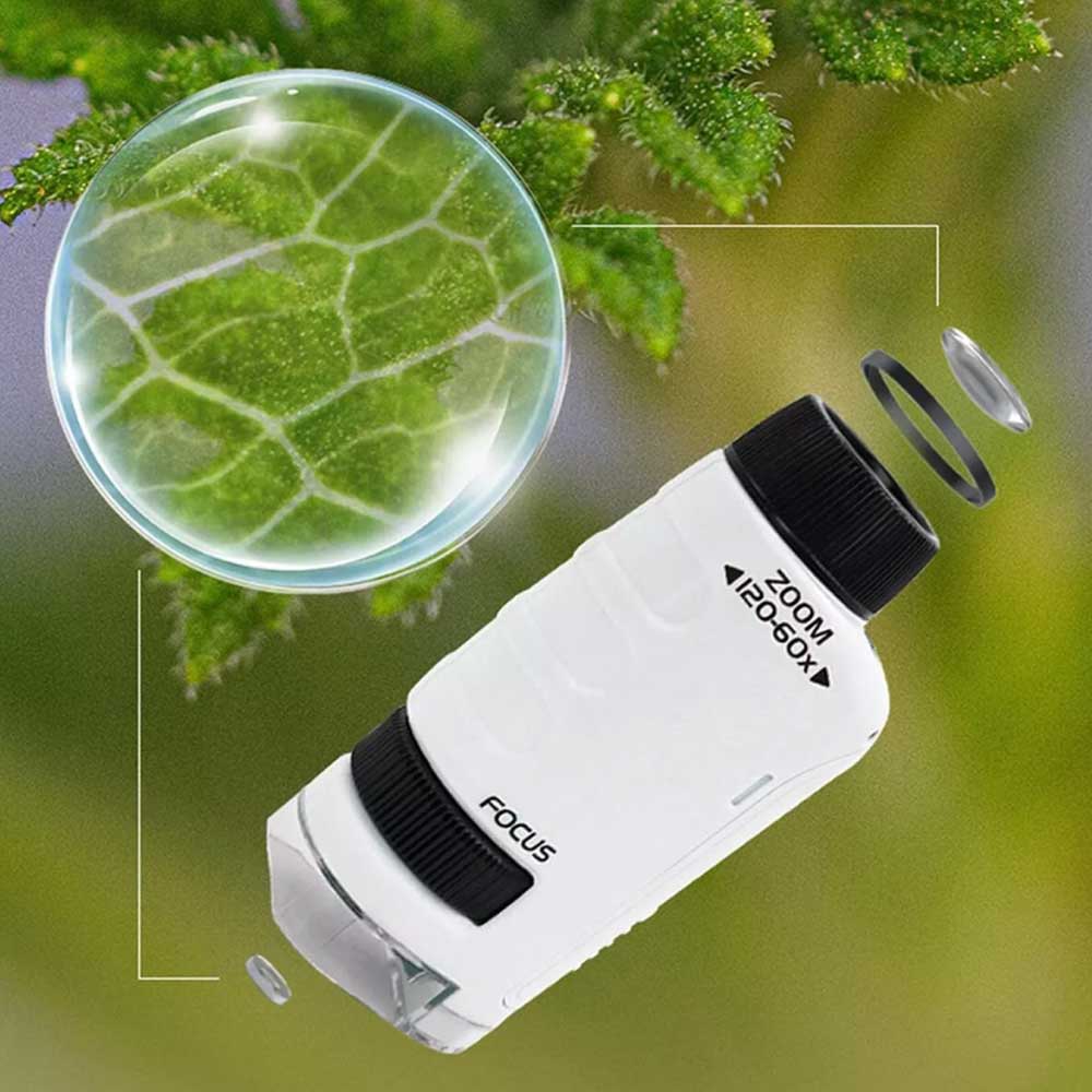 Minilabsters Miniscope Minilabsters Portable Pocket Microscope 60-120x Kids gift