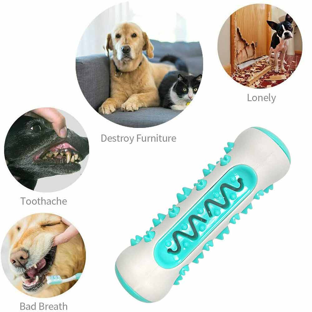 Teeth Cleaning Dog Chew Toy Tough Dog Puppy Toothbrush Rubber Chewers Toy Bone