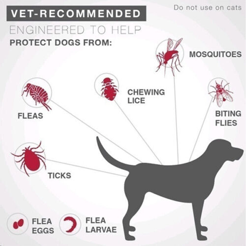 Bayer-Seresto Flea and Tick Collar 7-8Month Protection for Cats Small Large Dogs