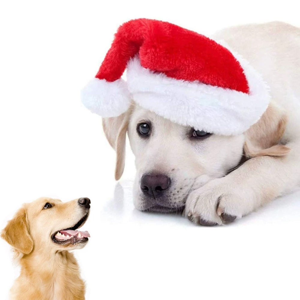 Christmas Santa Dog Hat Set – 2PCS Lightweight Pet Costume Caps