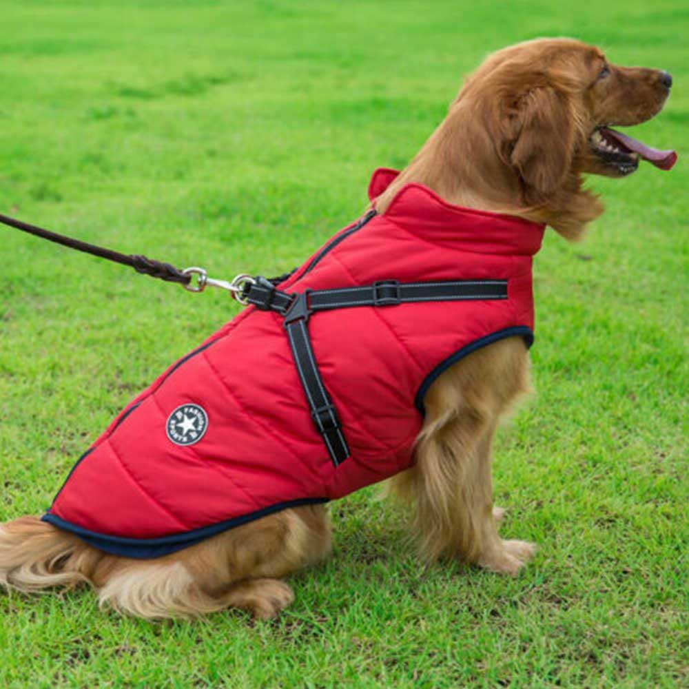 Winter Pet Dog Coat Pet Dog Jacket w/ Harness Waterproof Breathable Small Large