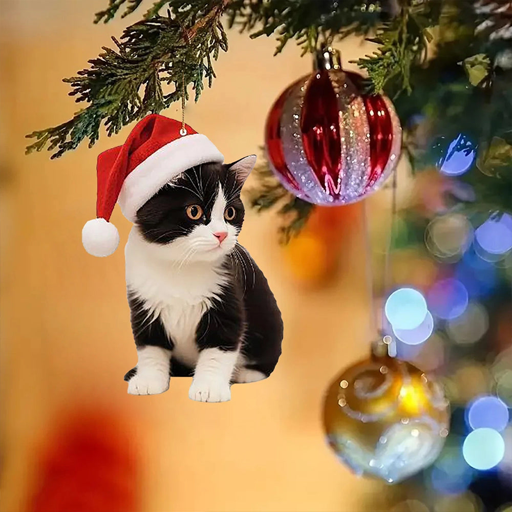 5Pcs Cute Cat Christmas Ornaments, 2D Acrylic Hanging Decor for Cat Lovers Tree