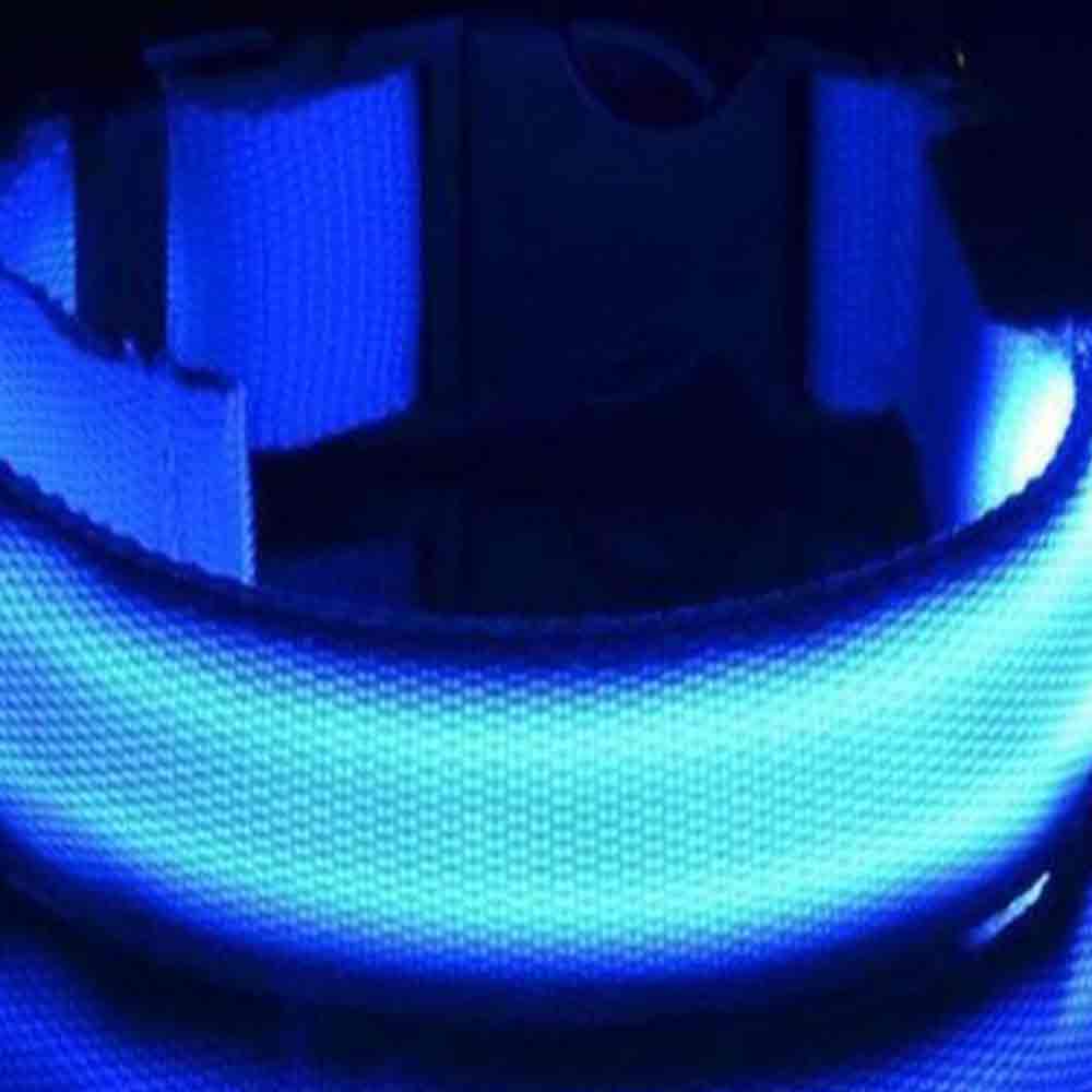 Light Up LED Dog Collar – Adjustable USB Rechargeable Pet Safety Luminous Collar M