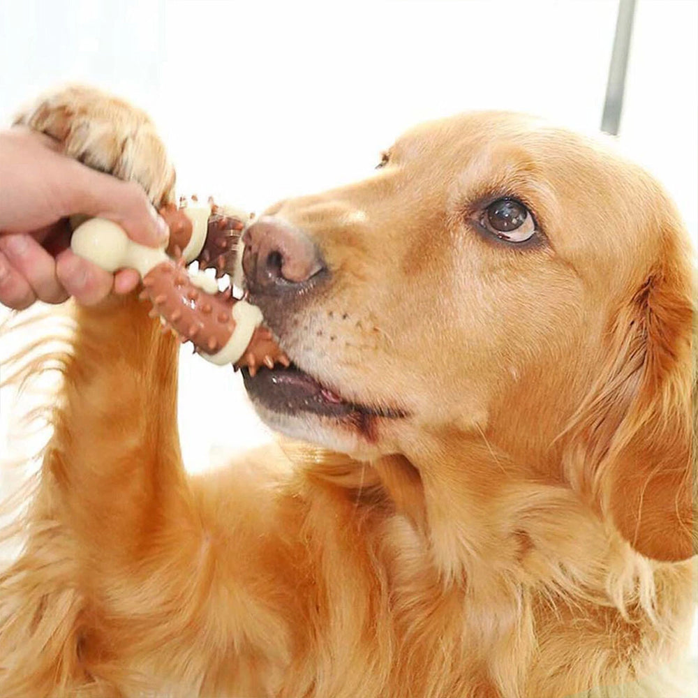Indestructible Dog Chew Stick – Durable Bone Toy for Aggressive Chewers
