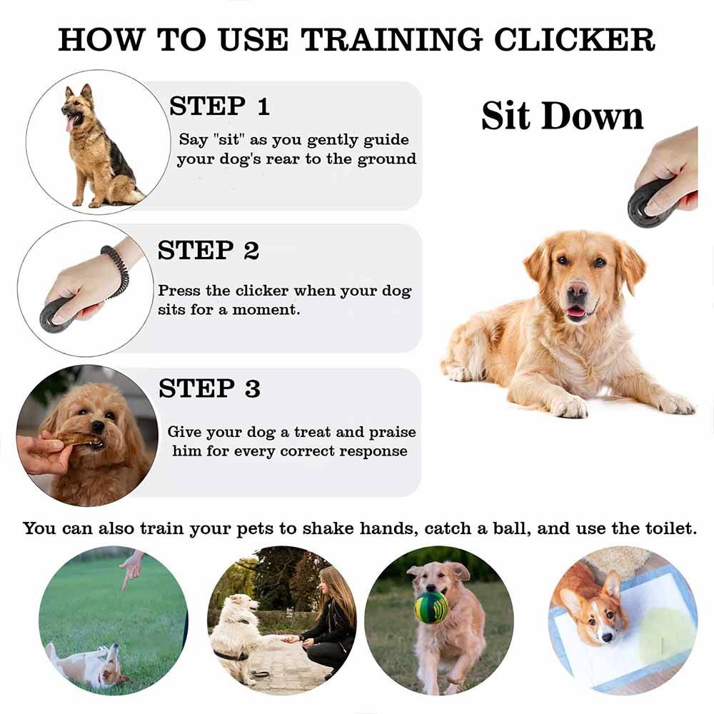2-Pack Dog Puppy School Clicker – Professional Training Aid, Black Pet Trainer