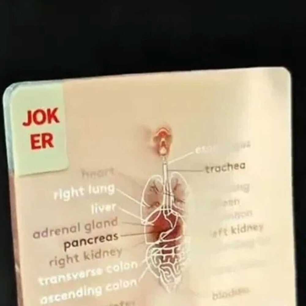 The Body Deck Human Anatomy - It's What's Inside That Counts Cards, 3D Image