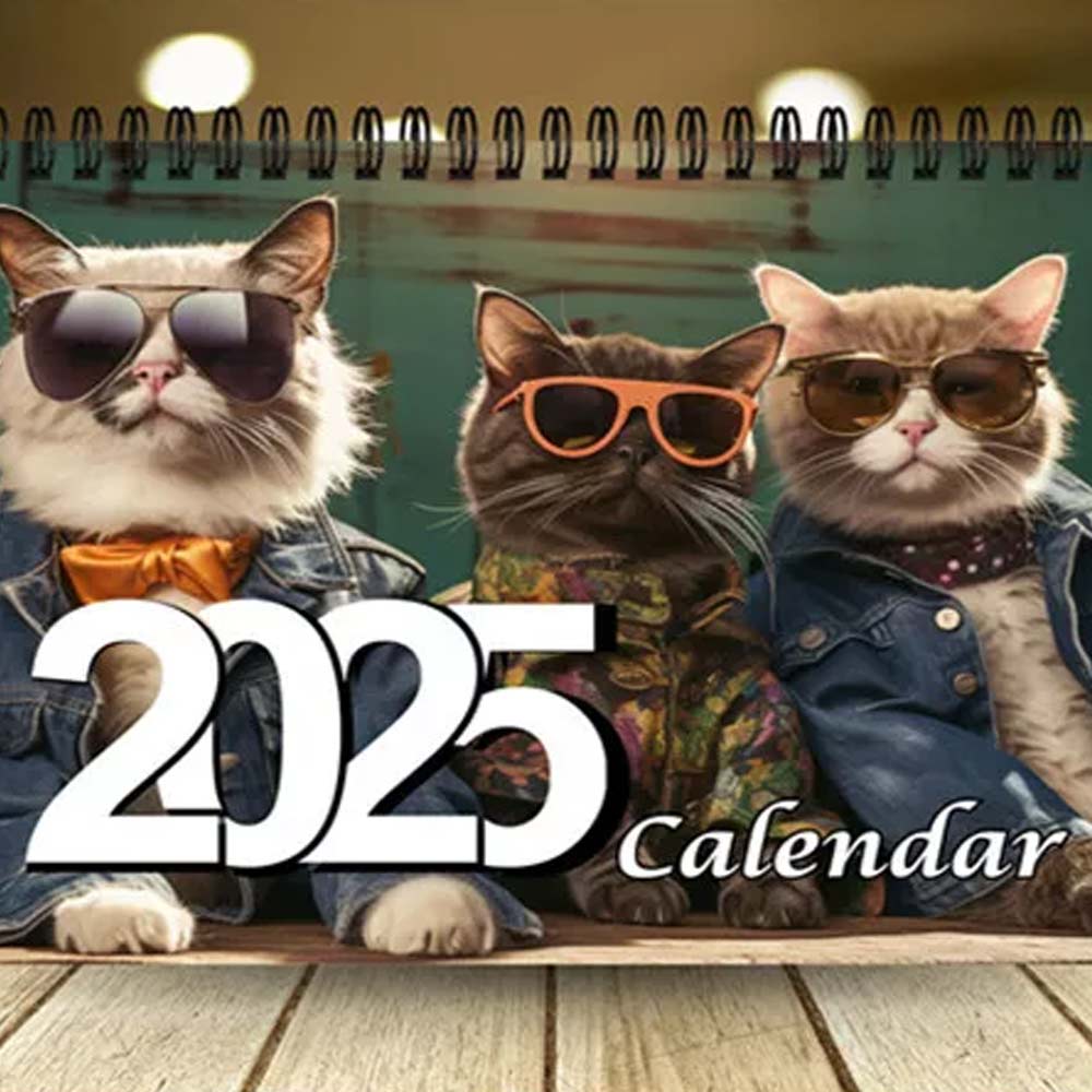 Stylish Cats Wall Calendar 2025, 12 Month Calendar, Hanging Calendar for Cat Love, Home Office Wall Calender