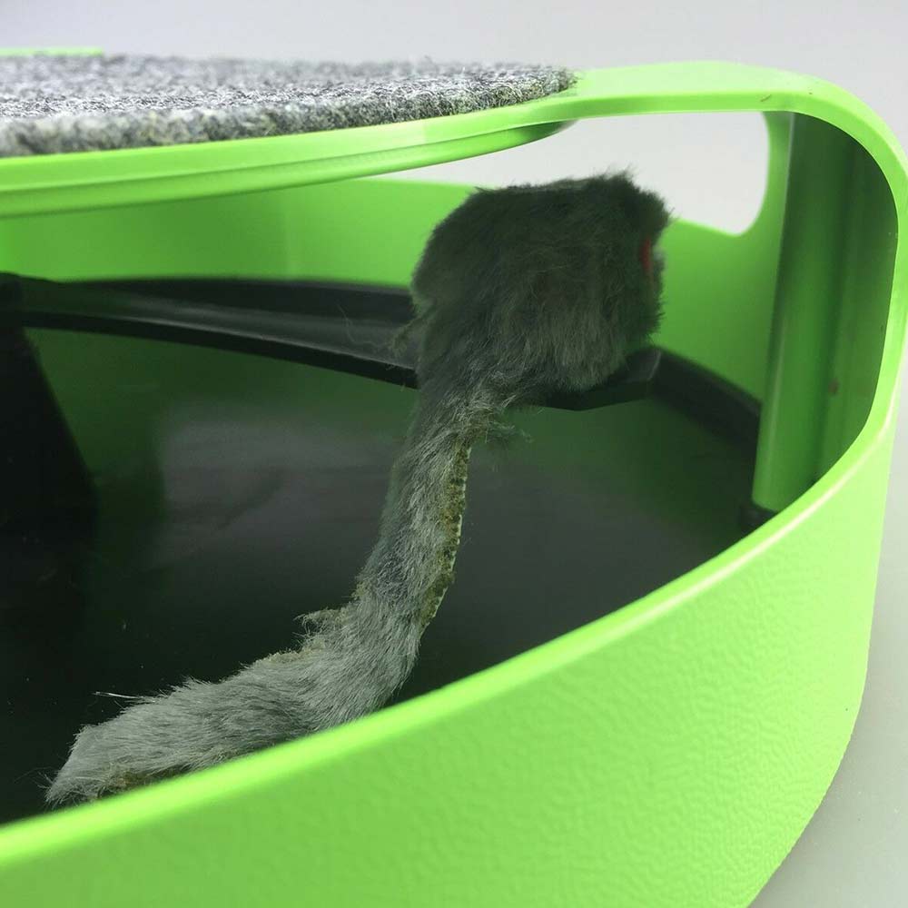 Motion Kitten Cat Toy Catch The Mouse Chase Interactive Cat Training Scratchpad