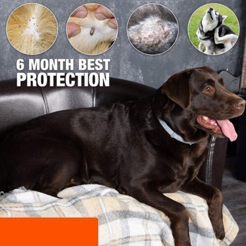 Bayer-Seresto Flea and Tick Collar 7-8Month Protection for Cats Small Large Dogs