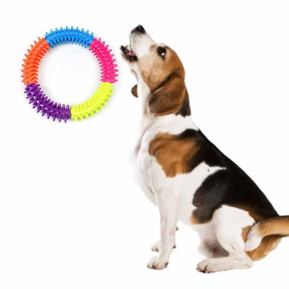 Puppy Dog Play and Training Chew Toy Dog Biting and Chew Ring Dog Dental Toy