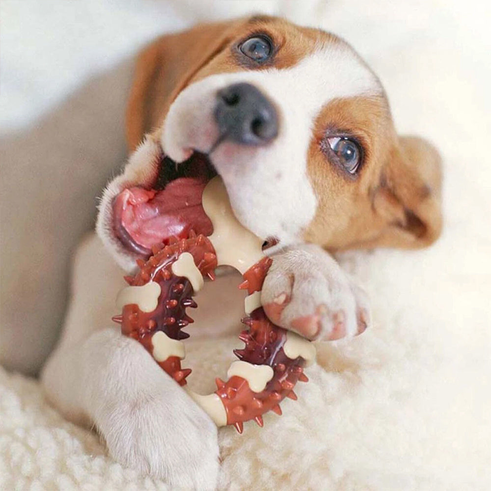 Indestructible Dog Chew Stick – Durable Bone Toy for Aggressive Chewers