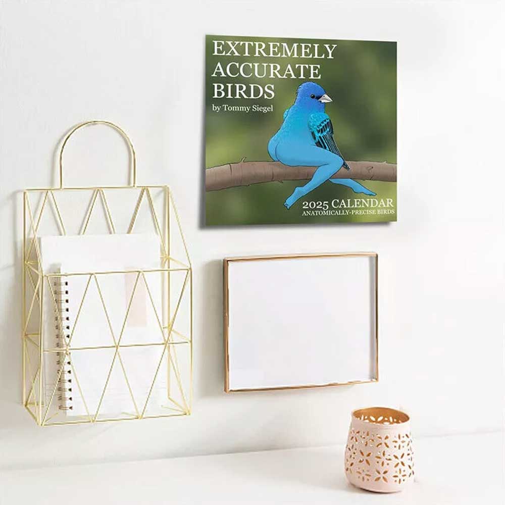 2025 Bird Calendar 2025 CALENDAR OF EXTREMELY ACCURATE BIRDS Wall Calendar Decor