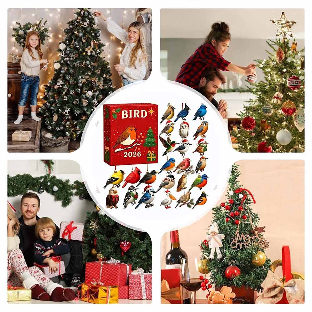 24 Days Christmas Advent Calendar – 2D Acrylic Gnome & Bird Ornament Countdown