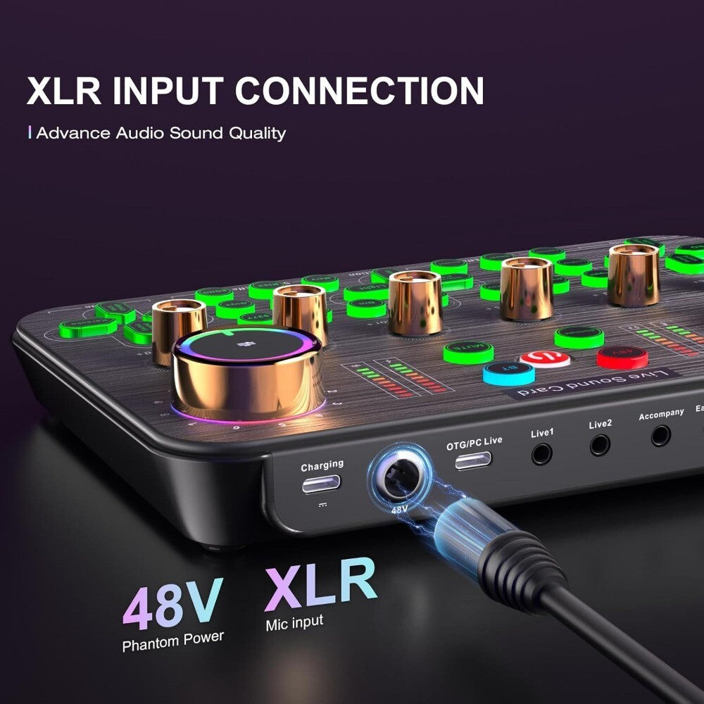 Professional Live Audio Mixer with DJ Mixer Live Sound Effects & Voice Changer