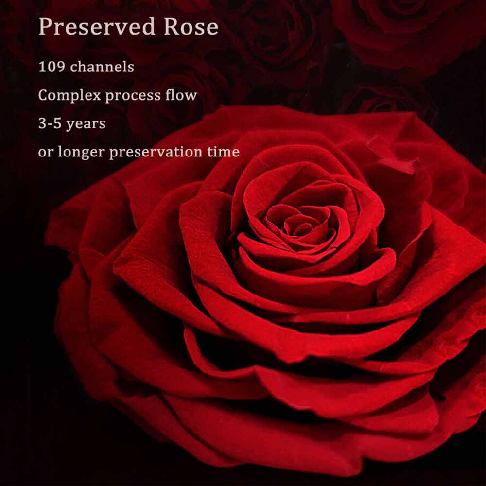 Preserved Rose Containers Eternal Flower Jewellery Surprise Box Valentine Gifts