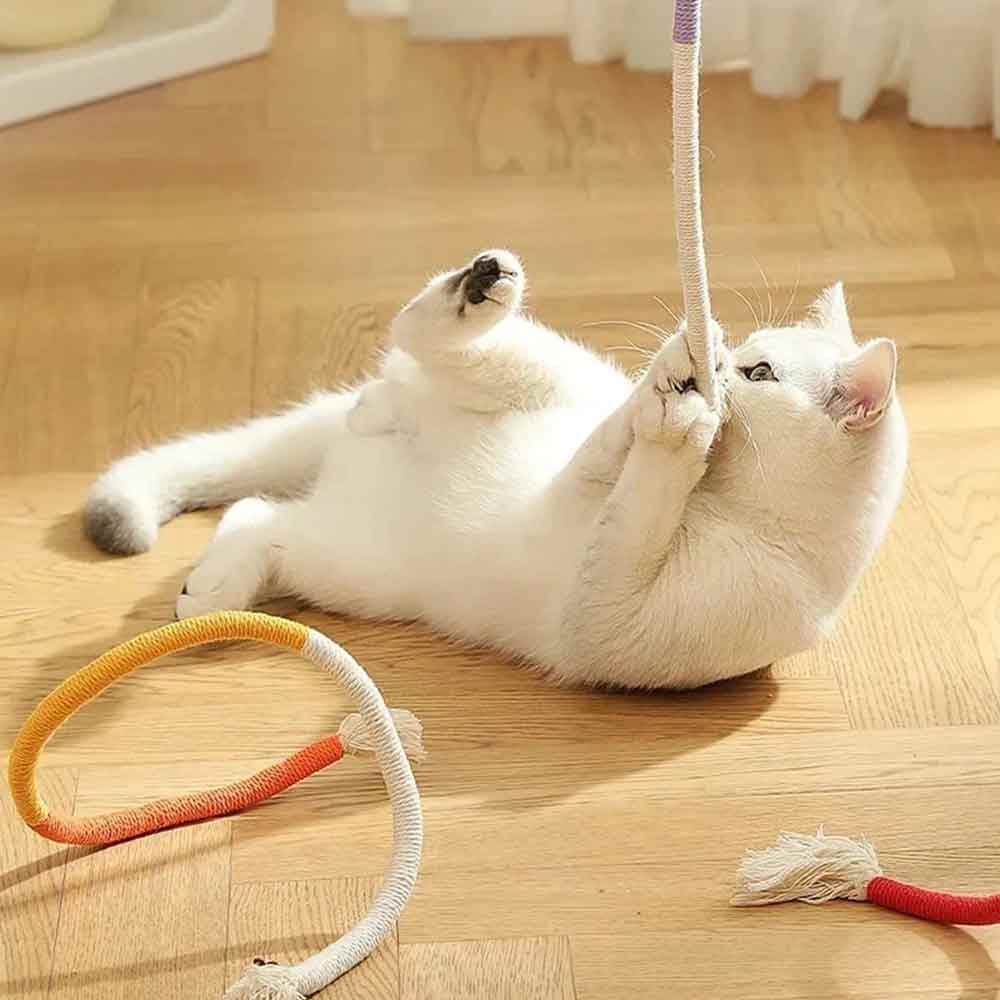 Catnip Rope Plush Cat Chew Toy – Teeth Cleaning Interactive Kitten Teething Play