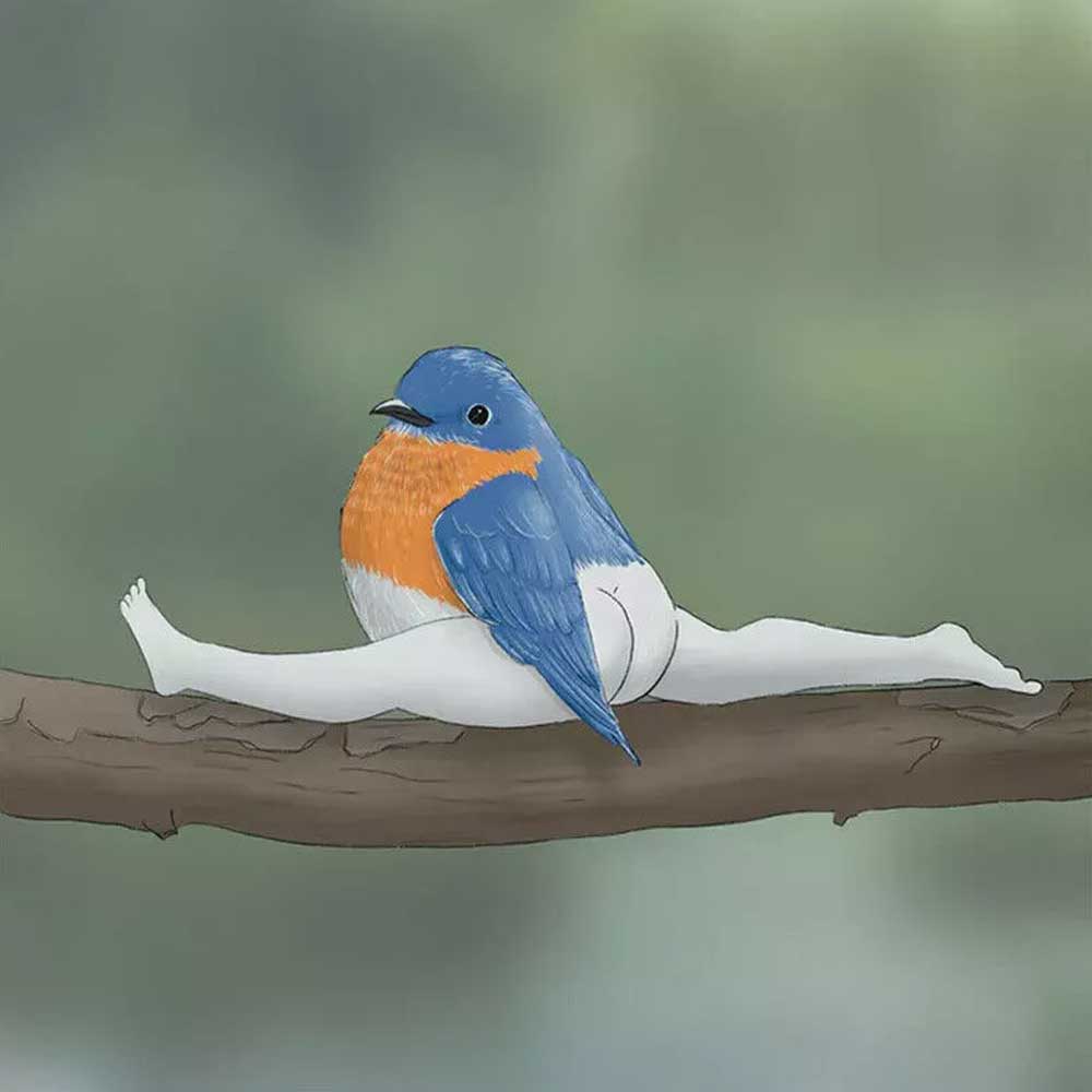 2025 Bird Calendar 2025 CALENDAR OF EXTREMELY ACCURATE BIRDS Wall Calendar Decor