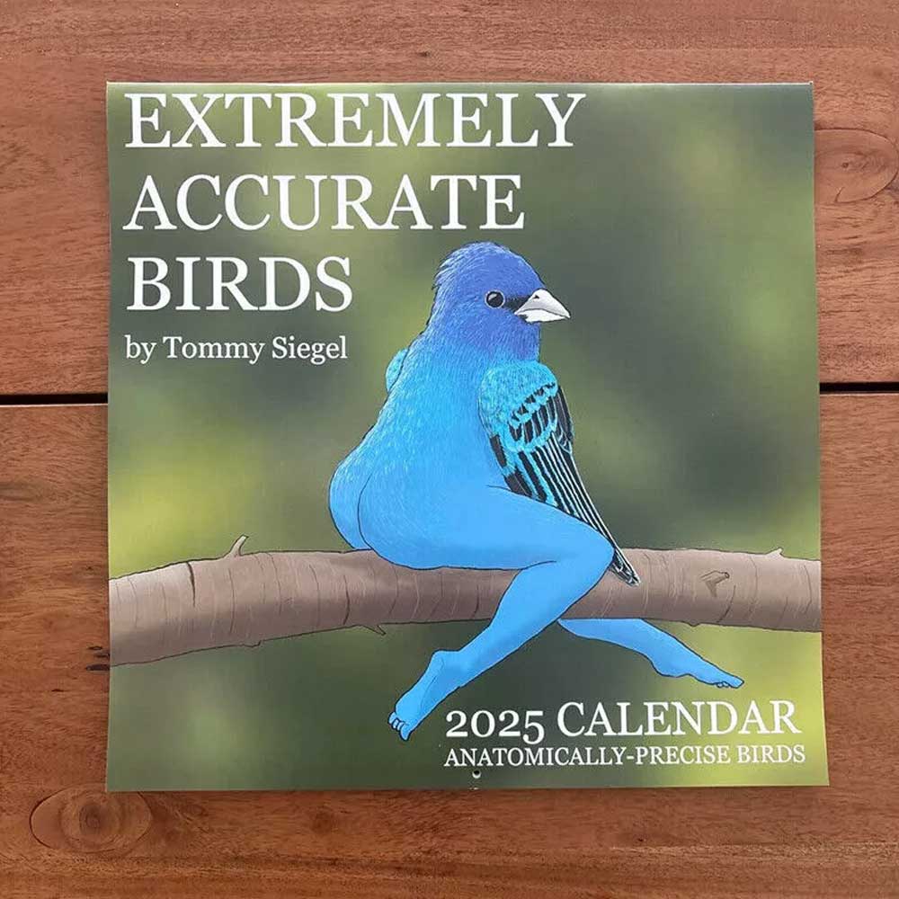 2025 Bird Calendar 2025 CALENDAR OF EXTREMELY ACCURATE BIRDS Wall Calendar Decor