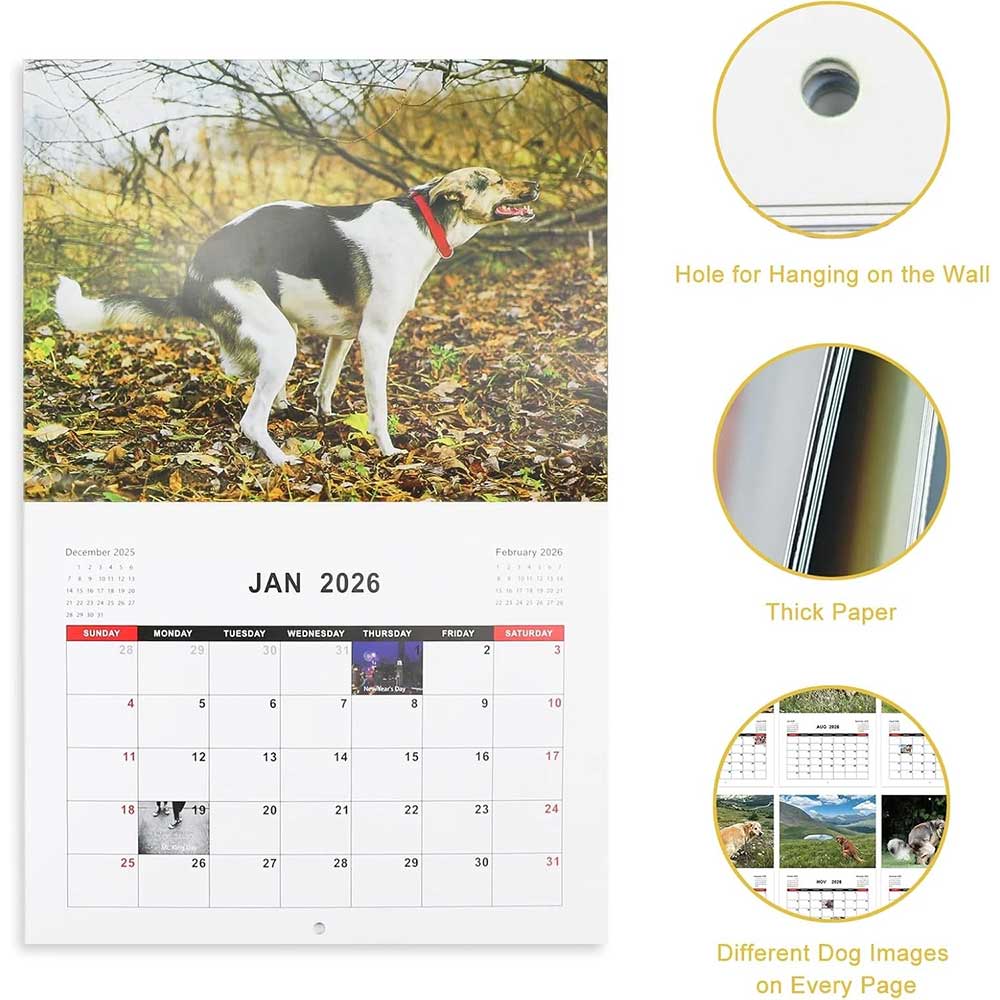 2026 Dog Pooping Calendar - Funny Dogs in Beautiful Places Wall Calendar
