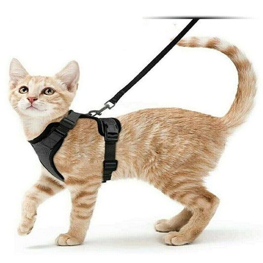 Cat Dog Harness Leash Walking Escape Proof Adjustable Reflective Vest Harness