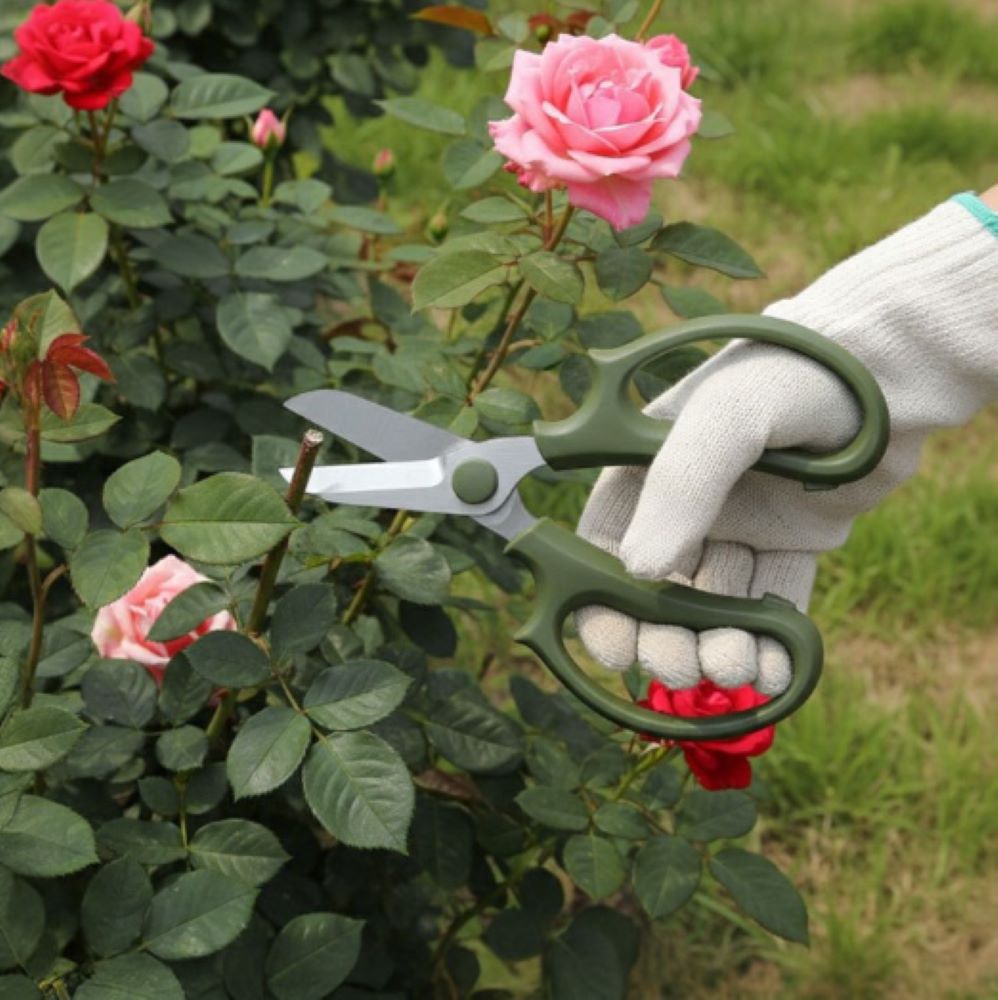Stainless Steel Pruning Shears – Garden Scissors for Potted Plants & Floral Arrangements