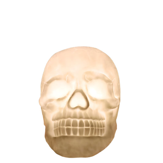 Skull Head LED Night Light 7 Color Bedside Touch Table Lamp USB Remote Control