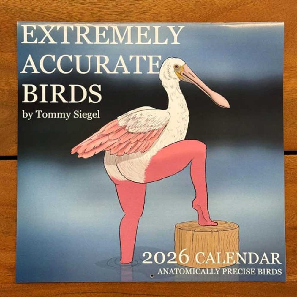2026 Calendar of Extremely Accurate Birds - Illustrated Gift Wall Calendar