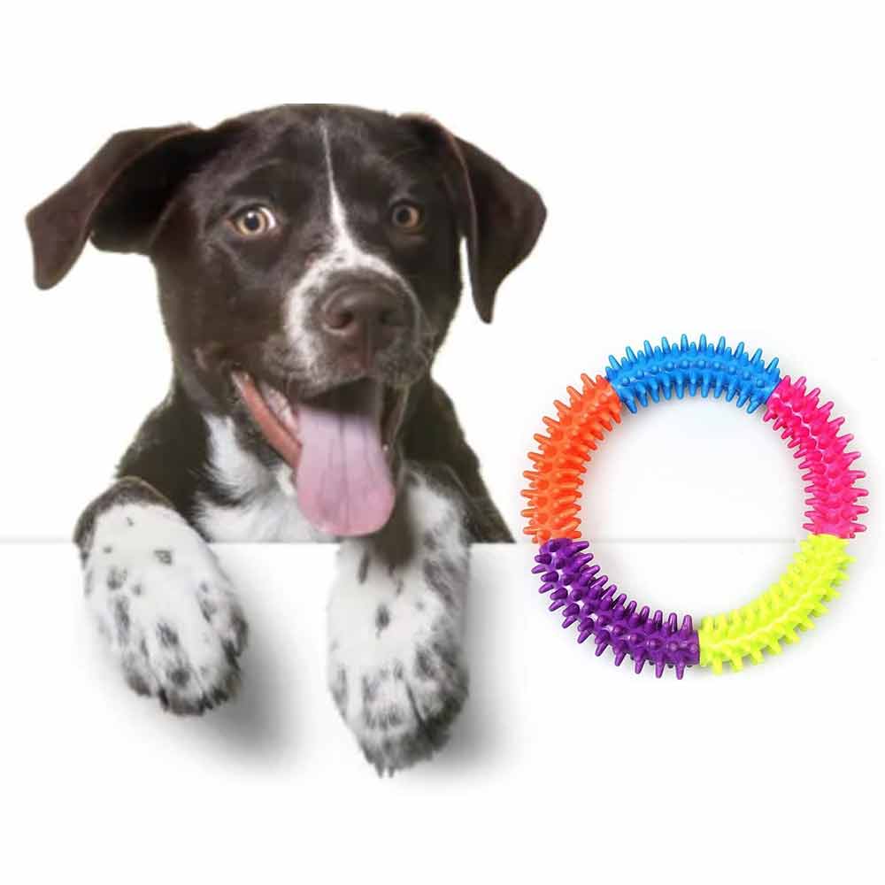 Puppy Dog Play and Training Chew Toy Dog Biting and Chew Ring Dog Dental Toy
