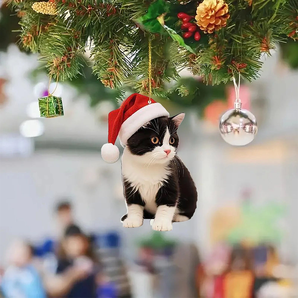 5Pcs Cute Cat Christmas Ornaments, 2D Acrylic Hanging Decor for Cat Lovers Tree