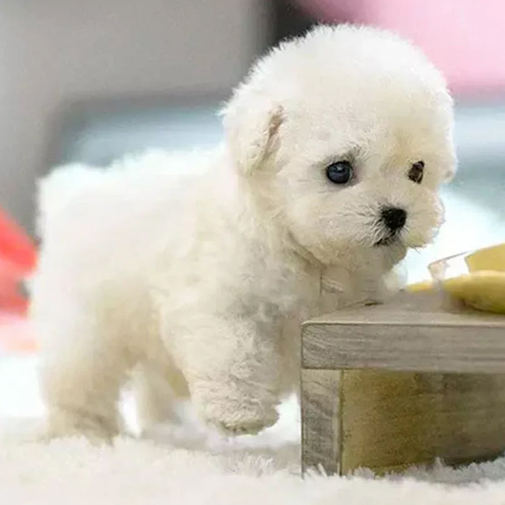 My Realistic Robot Puppy – Adorable Interactive Electronic Pet Dog Toy, Perfect Gift for Girls & Kids