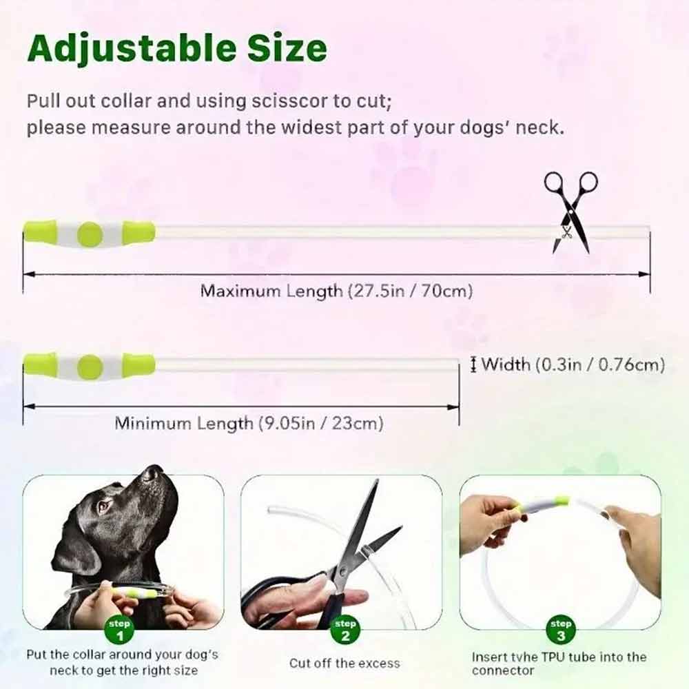 Light Up Dog Collar – USB Rechargeable Pet Flashing Safety LED, Size Adjustable