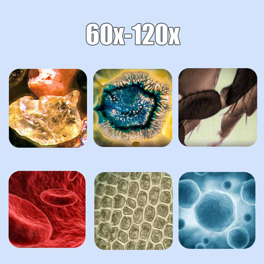 60X-120X Kids Pocket Microscope Handheld Magnification Lens with LED Lighted