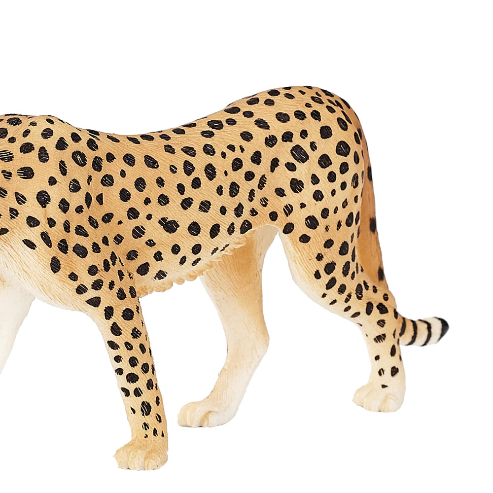 Wild Zoo Animal Figures - PVC Forest Jungle Toy Set, Realistic Plastic Models