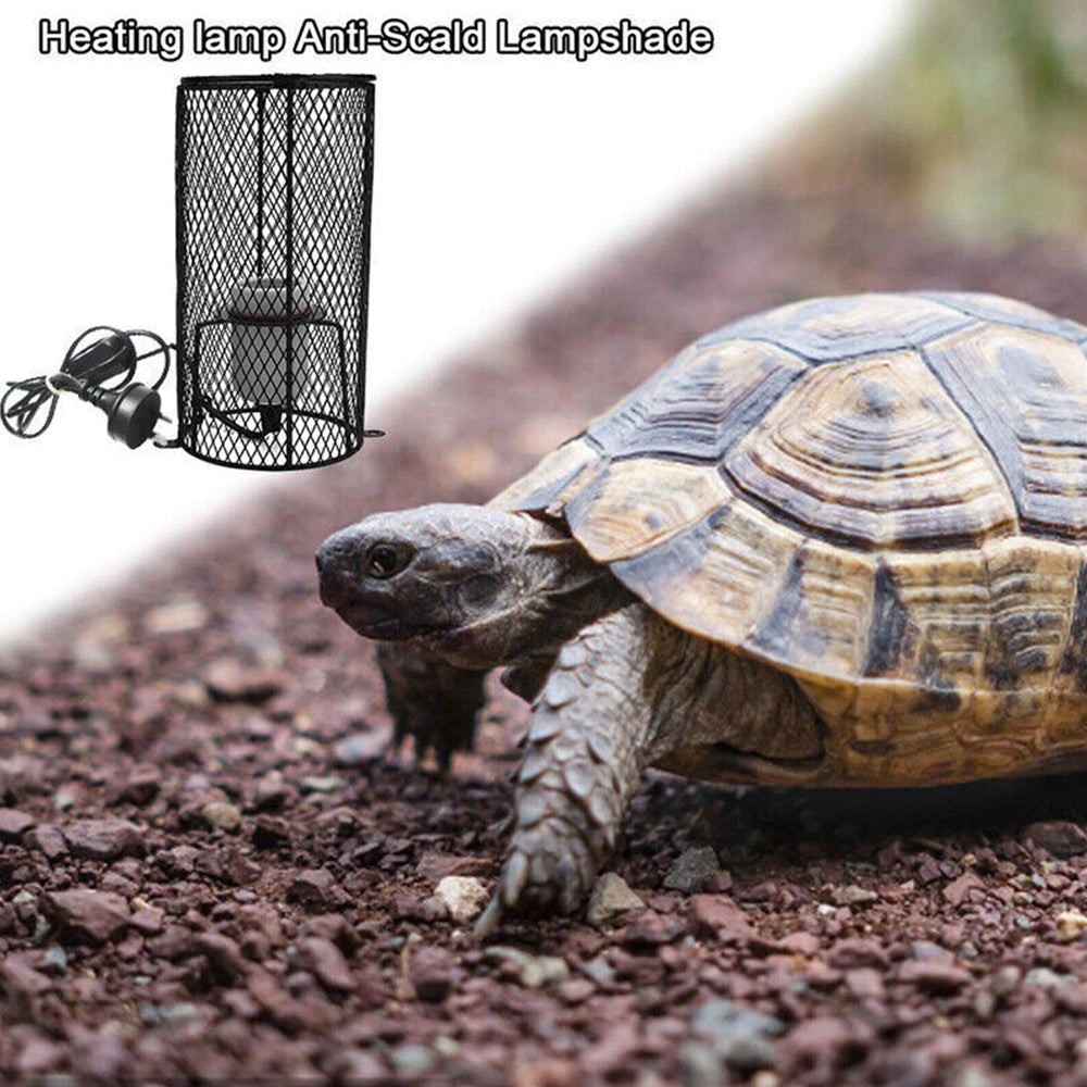 200W Reptile Ceramic Heat E27 Lamp Holder Light Bulb Switch Cage Pet Brooder