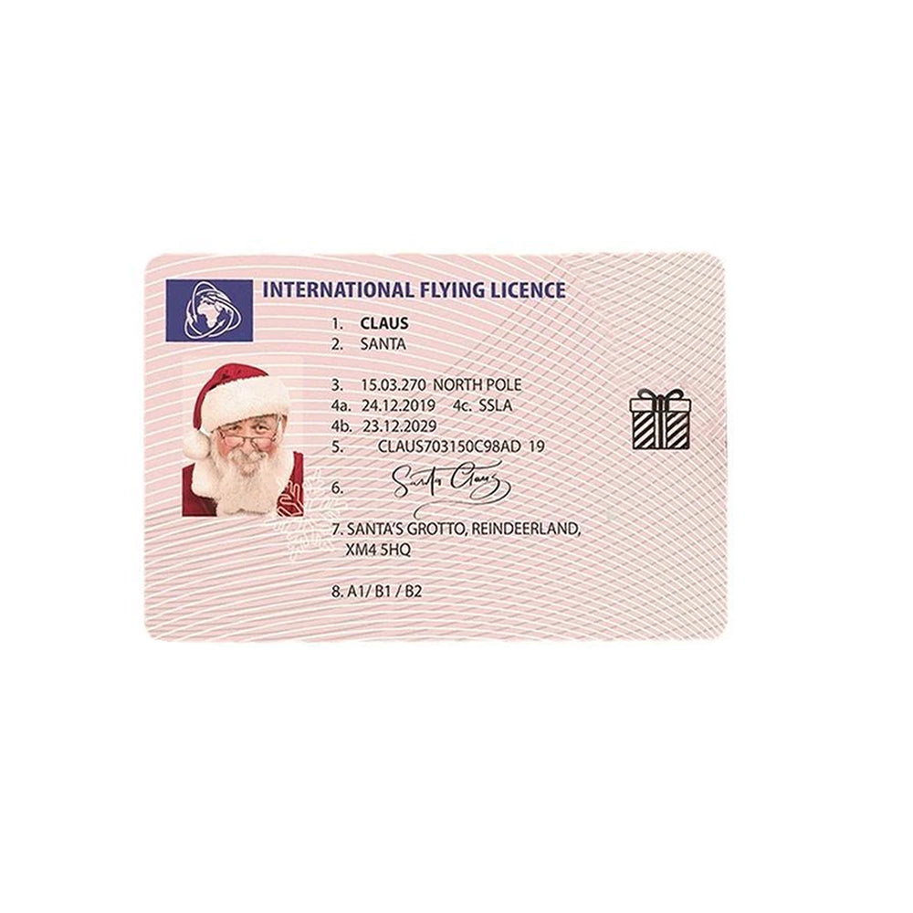 10Pcs Novelty Santa Claus International Driver's License - Fun Christmas Gift