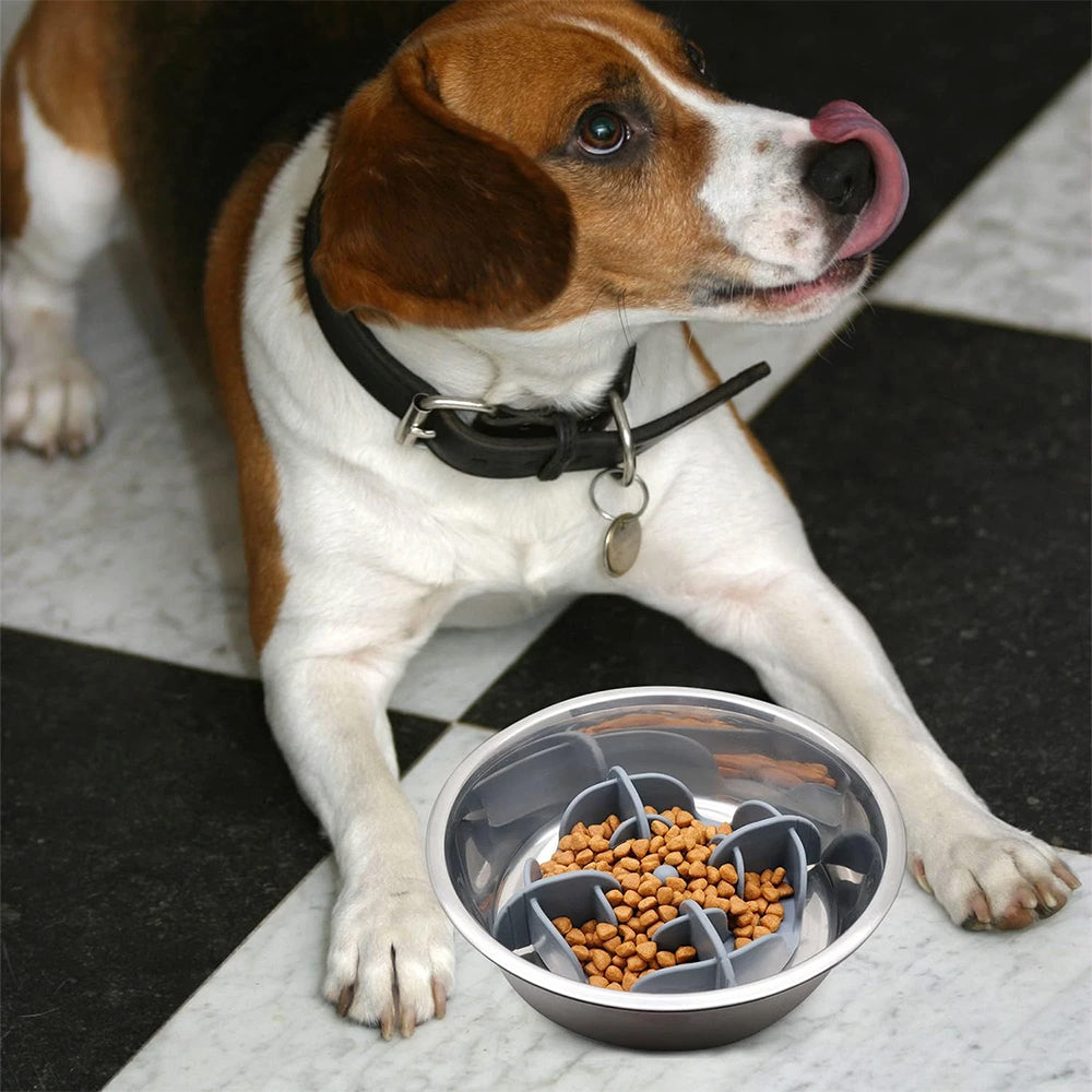 17-Suction Slow Feeder Insert – Silicone Dog Bowl Accessory for Small Dogs