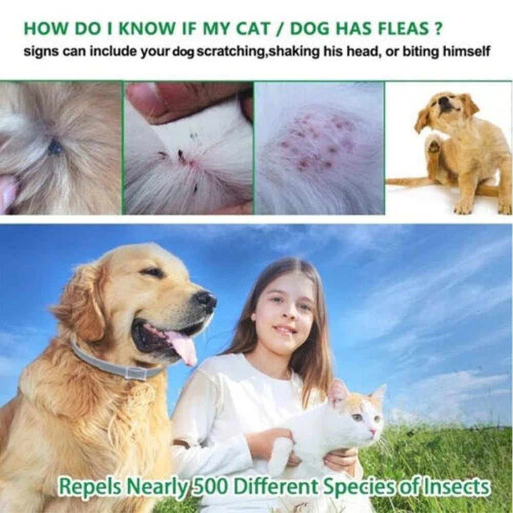 Bayer-Seresto Flea and Tick Collar 7-8Month Protection for Cats Small Large Dogs