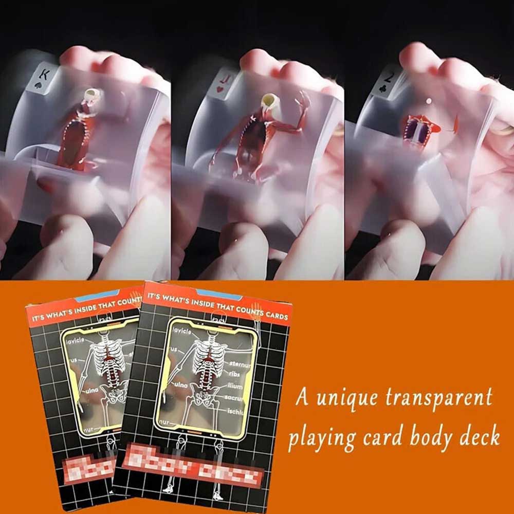 The Body Deck Human Anatomy - It's What's Inside That Counts Cards, 3D Image